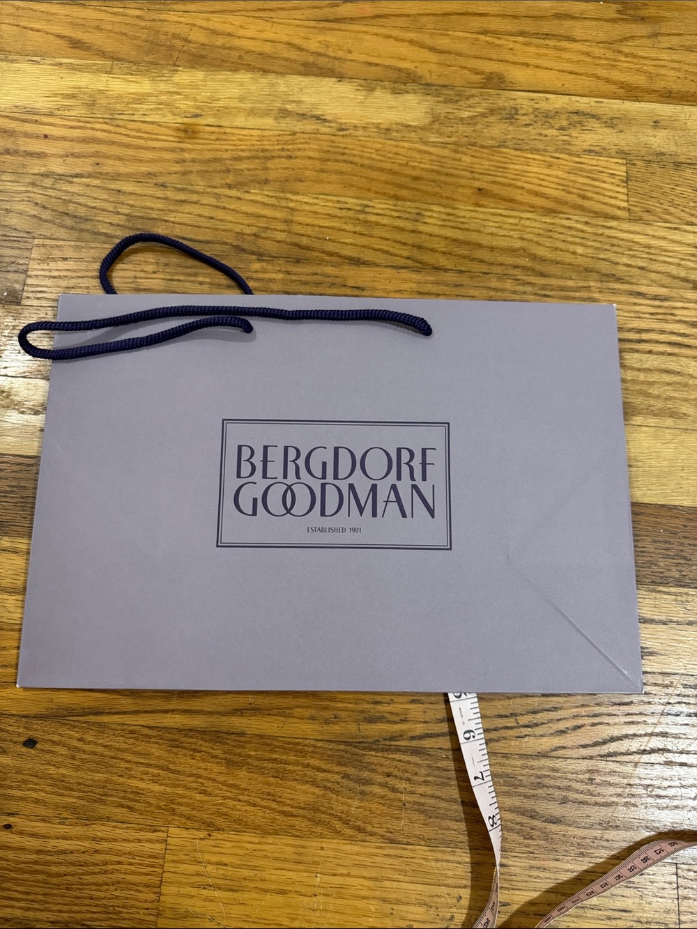 Bergdore Goodman Paper Shopping Bag with Navy Rope Handles